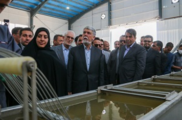 گامی بزرگ در توسعه صنعتی کرمان؛ افتتاح فاز نخست پتروشیمی کرمان در بافت
